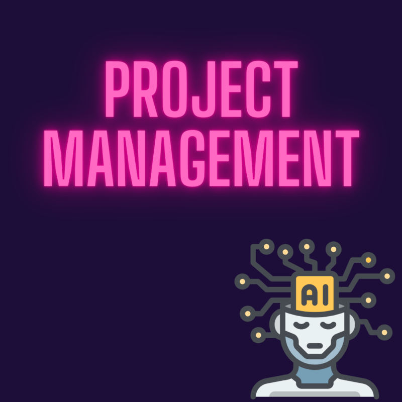 project management